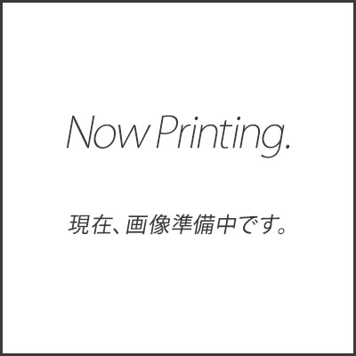 蔵王産業 業務用 高圧洗浄機 別売りアクセサリー | 商品一覧 | 高圧洗浄機の専門店【ヒダカシ…